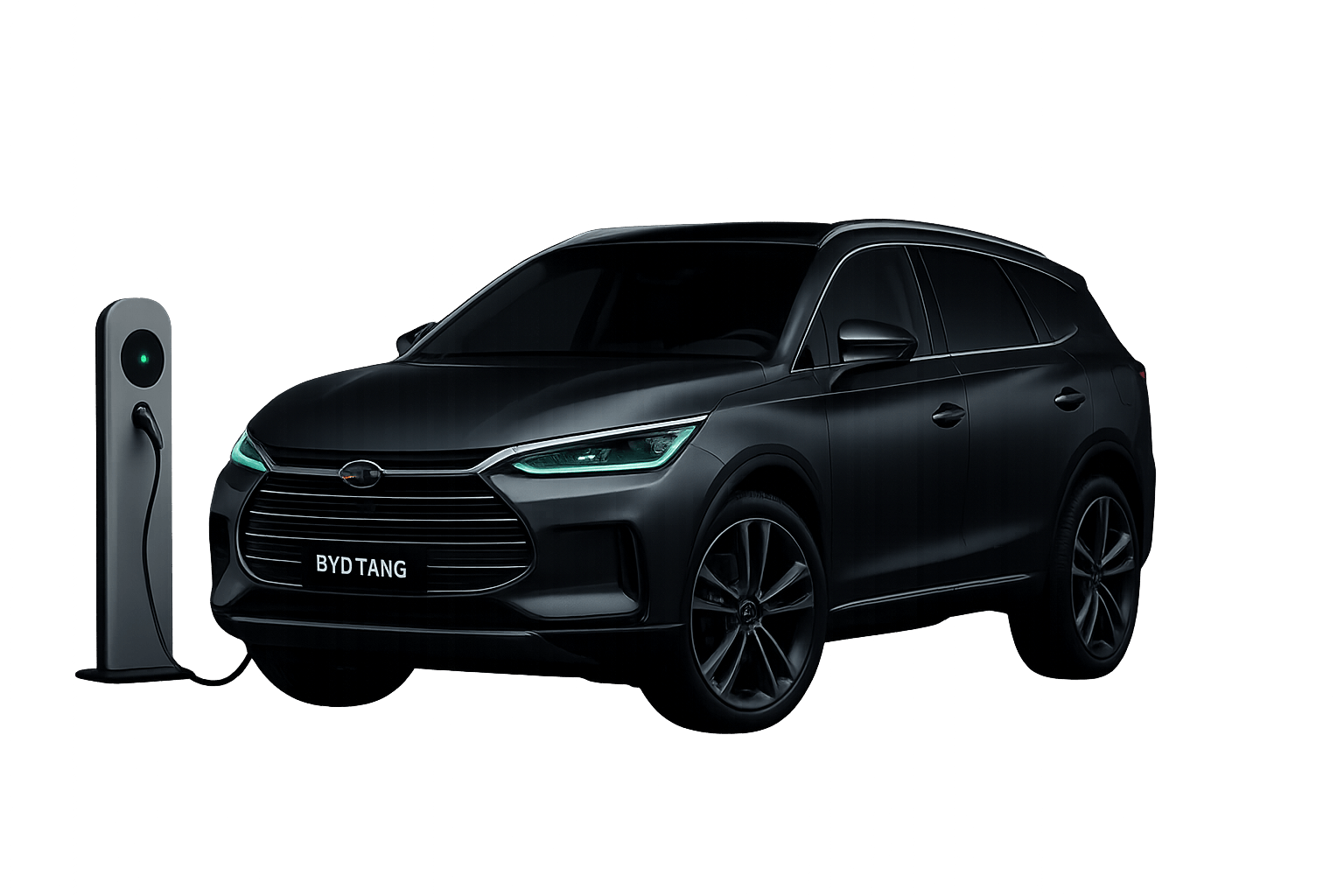 BYD véhicule newsletter