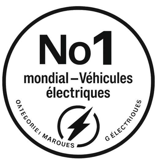 N°1 mondial Véhicules électriques
